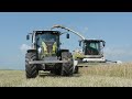 Chopping wheat  claas jaguar 960  gps harvest  drone crash  loonbedrijf hut