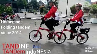 Seli tandem (TANDINE seli), TANDemIndoNEsia