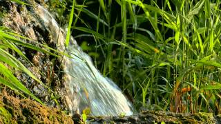 waterfall - Panasonic FZ1000 4K 2160p  -- 150807 P1020129