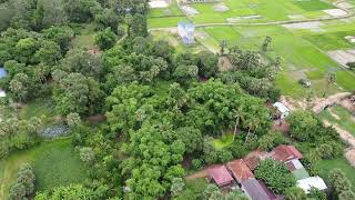 Lush Surroundings of a Village #greenvillageresort