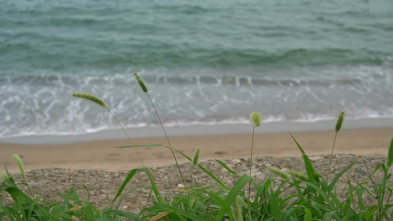 사랑은 늘 도망가 (이문세) 영천 팬플룻 