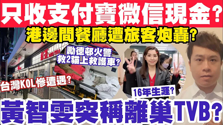 港餐厅只收支付宝微信现金？KOL轰内地化？黄智雯突宣布离巢TVB？1-12-2023 - 天天要闻