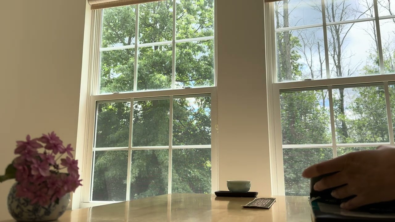 Day 0031. 10 minutes read with me | No music | Background noise | ASMR