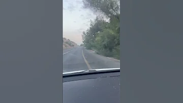 لحميكي بكلاشن كوفي أني من بني معروفي 