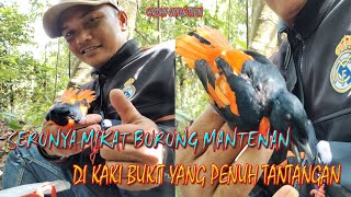 Serunya Mikat Burung Mantenan, di kaki bukit yang penuh tantangan