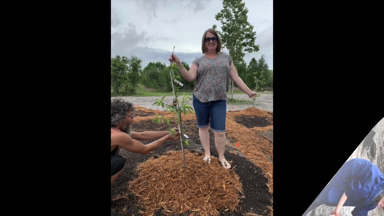 Spring Fling Tree Planting April 2020