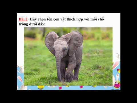 Khối 2 - LTVC - MRVT Từ ngữ về loài thú. Dấu chấm, dấu phẩy - GV Trần Thị Thanh