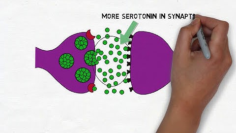 2-Minute Neuroscience: Selective Serotonin Reuptake Inhibitors (SSRIs)