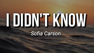 Sofia Carson - I Didn't Know Lyrics ( From Purple Hearts )