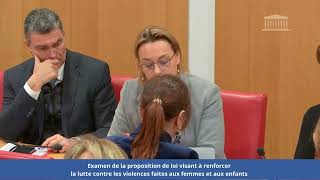 Commission des lois - PPL visant à renforcer la lutte contre les violences sexistes et sexuelles