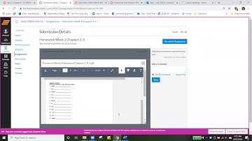 How to submit and assignment and review feedback in Canvas