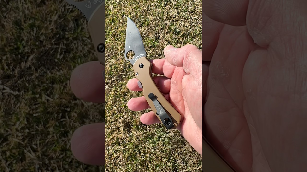 My Spyderco Knives DLC CruWear FRN Para 3 knife in Ti LynchNW scales is so good