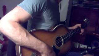 Seagull with Suzuki No 5 parlor guitar also known as Jason