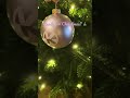 Wer hat seinen Tannenbaum auch schon stehen? 😍 #christmas #xmas #music #arminvanbuuren #weihnachten