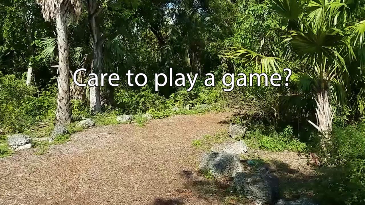 the Forest: a click adventure, The Beginning.