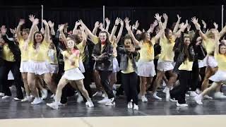 2013 - Alpha Gamma Delta and Alpha Sigma Phi