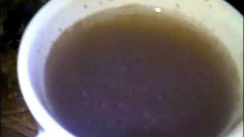 10inch lightning Audio sub making my hot chocolate move