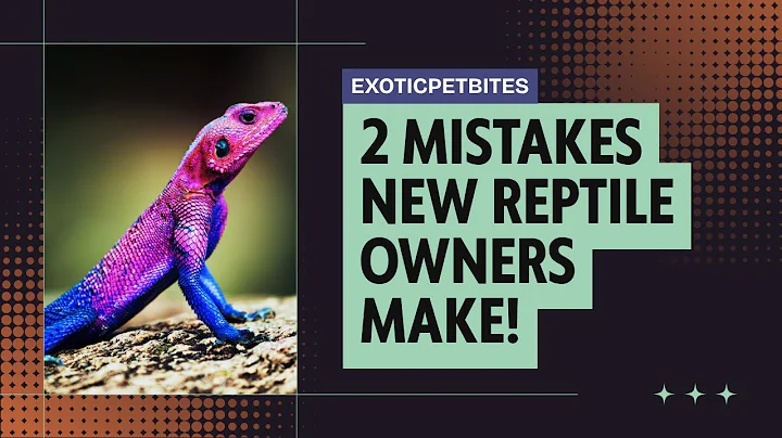 Top 2 Mistakes New Reptile Owners Make—and How to Avoid Them