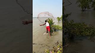 Sundarban River Side Net Big Monster Fish #amazing #fish #fishing #viralvideo #viral #reels #foryou