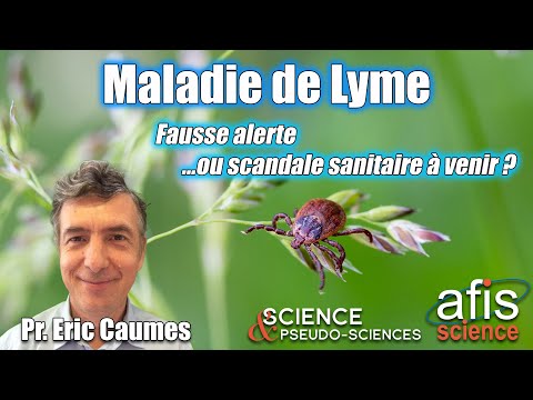 Vidéo: 5 Raisons Pour Lesquelles Vous Devriez Prendre La Maladie De Lyme Au Sérieux