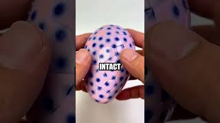 Amazing Random Facts You Never Knew