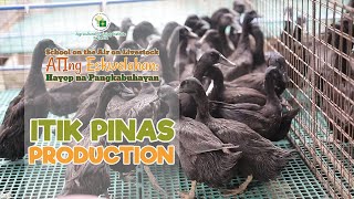 Itik Pinas Production Part 1