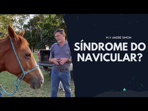 Vídeo: Você pode criar um cavalo com navicular?