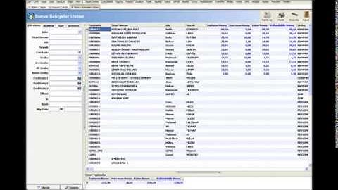 WOLVOX ERP programı bonus bakiyeler listesi