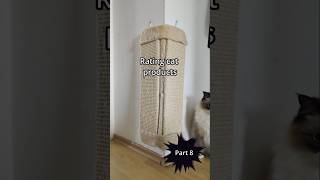 Why I Rated This Wall Scratcher 910