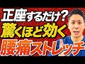 【腰痛 ストレッチ】たった正座をするだけで腰痛が改善できるストレッチはこれ！正座をしてあの筋肉を伸ばせば骨盤が動き腰痛が楽になる！