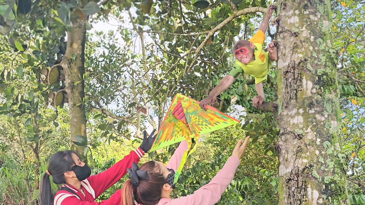 Monkey Su secretly leave home and surprise became villagers's little hero