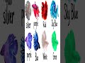 சண்டை மீன்கள் எங்கிருந்து வந்தது தெரியுமா?|fighting fish|#bettafighter|#siamesefightingfish|#asia