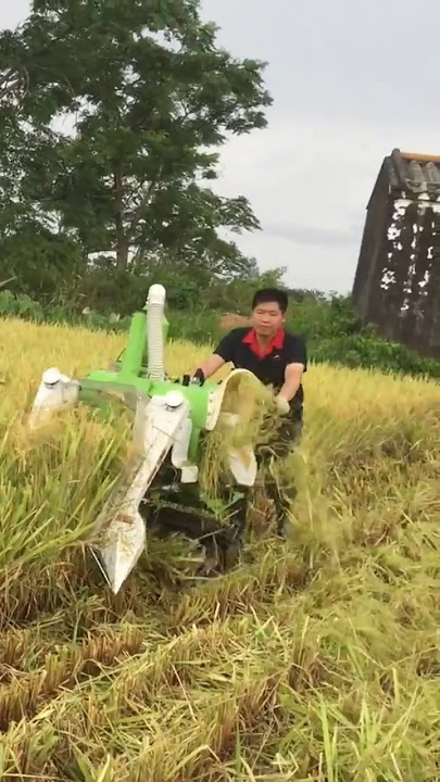 Ternyata begini cara orang Filipina memanen padi  #traktor#harvestermachine #traktorquickg1000