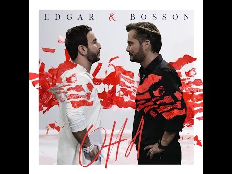 EDGAR и BOSSON
