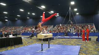 Adrian De Los Angeles - Pommel Horse - 2018 Winter Cup - Finals