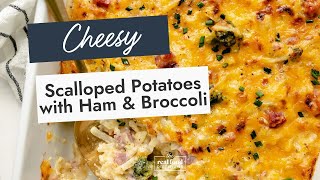 Cheesy Scalloped Potatoes and Ham with Broccoli