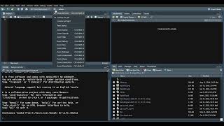 Datalog #2: User Interface and Aestatic change for RStudio
