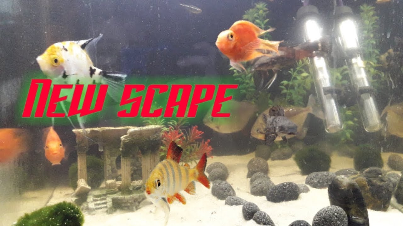camera iphone 8 plus apk NEW SCAPE. ~31.. **30 SUB SPECIAL**