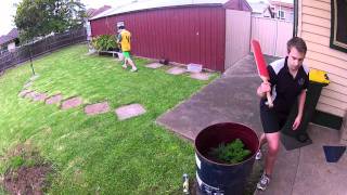 Backyard Cricket