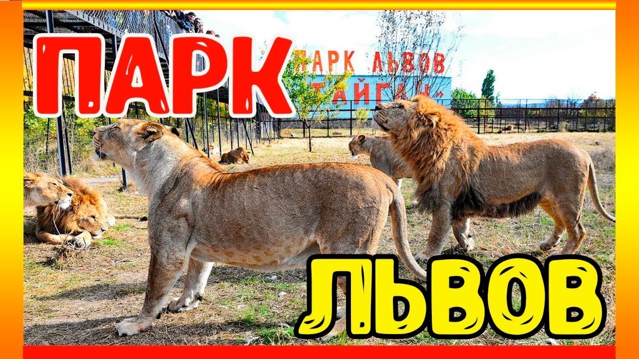 ПАРК ТАЙГАН 2025 Я В ШОКЕ ТАКОЕ УВИДЕТЬ МОЯ МЕЧТА СБЫЛАСЬ НАШ ОТДЫХ В КРЫМУ #паркльвовтайган #тайган