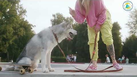 power of positive reinforcement!