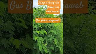 GUS BAHA //Memberikan penjelasan tentang hutang piutang