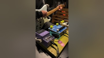 Stratocaster & Memory Man with HAZARAI