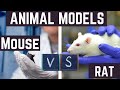 Why Scientists Choose RATS vs. MICE for Their Research