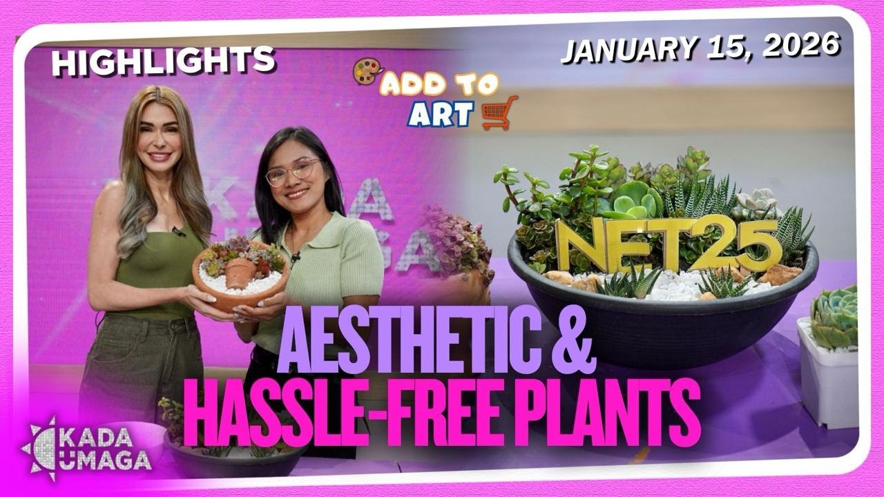 Busy Ka? Ito ang Perfect Plant Para sa iyo!