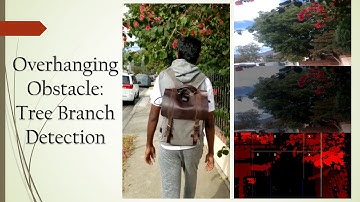 AI based visual assistance system for the visually impaired