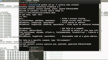 Reversing and Malware Analysis Training - Rootkit Analysis Demo4 (carberp)