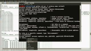 Reversing and Malware Analysis Training - Rootkit Analysis Demo4 (carberp)