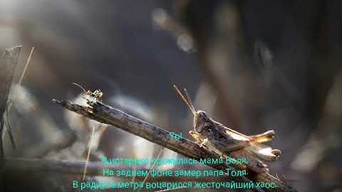 Thumbnail of Текст песни Макс Корж Жить в кайф