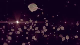 4K Falling Leaves & Stars ❖ Amazing Wallpaper ❖ Popular Screensaver Animation ❖ Relaxation Video